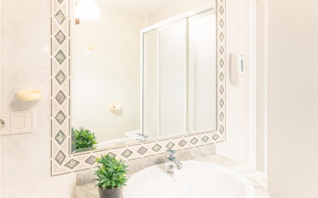 Espejo con planta en baño